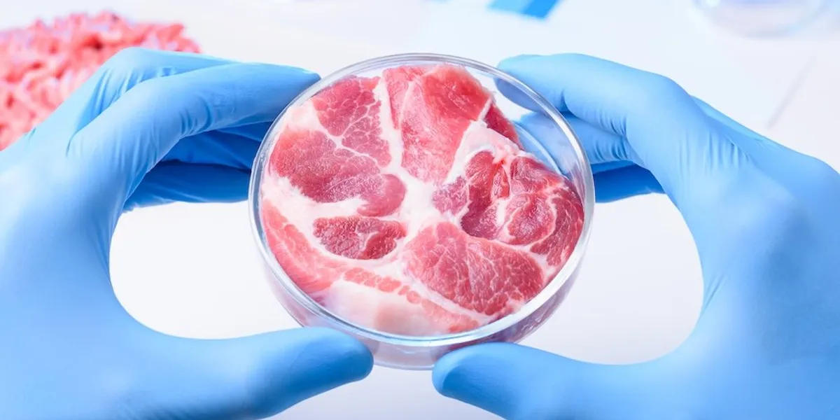 Say no to synthetic: America needs real meat, not lab slop Say no to synthetic: America needs real meat, not lab slop