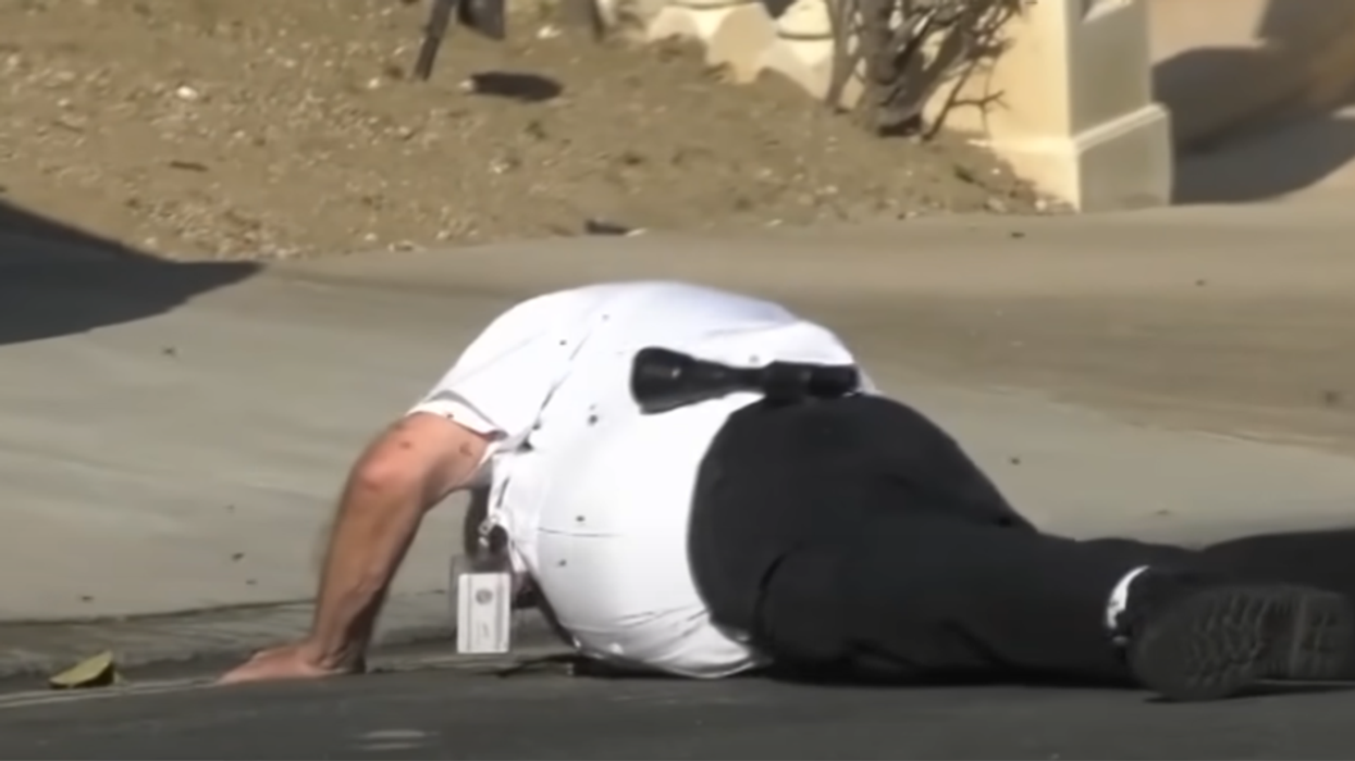 Scary video: Huge bee swarm attacks volunteer police officer, who runs from bees, trips and falls to street, fractures eye socket