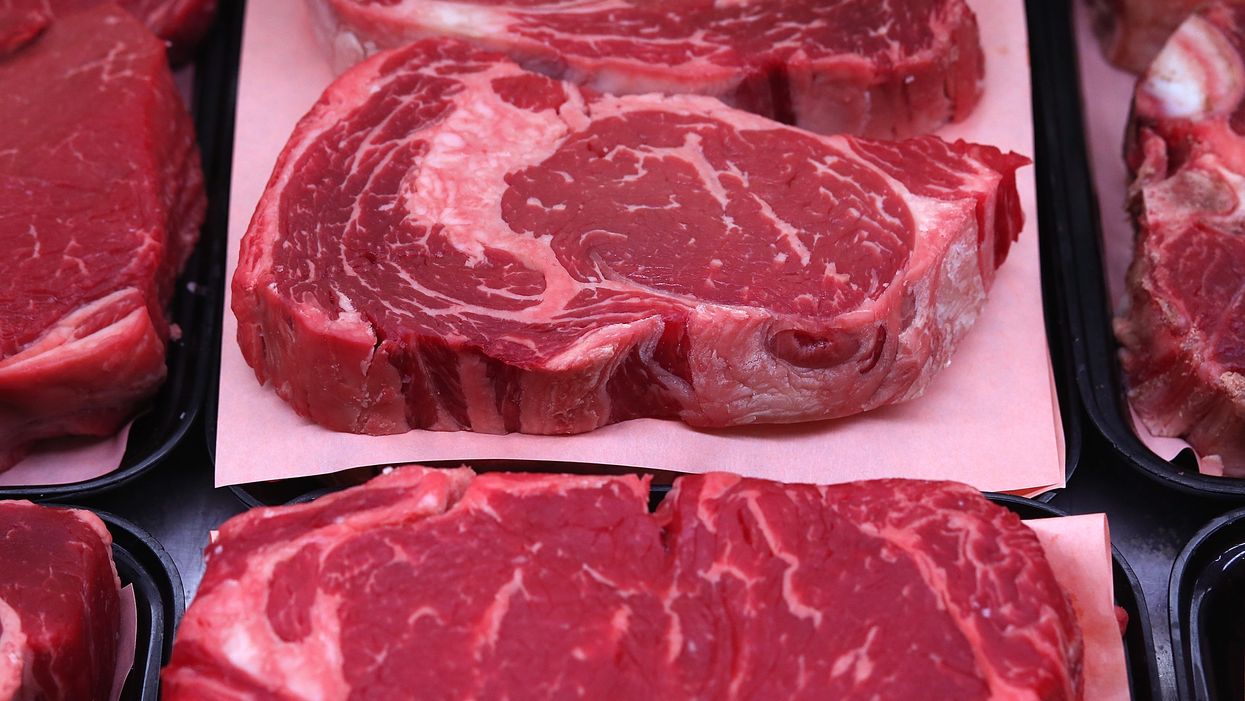 Scientists, artists develop concept for grow-your-own human steaks using cells, expired blood