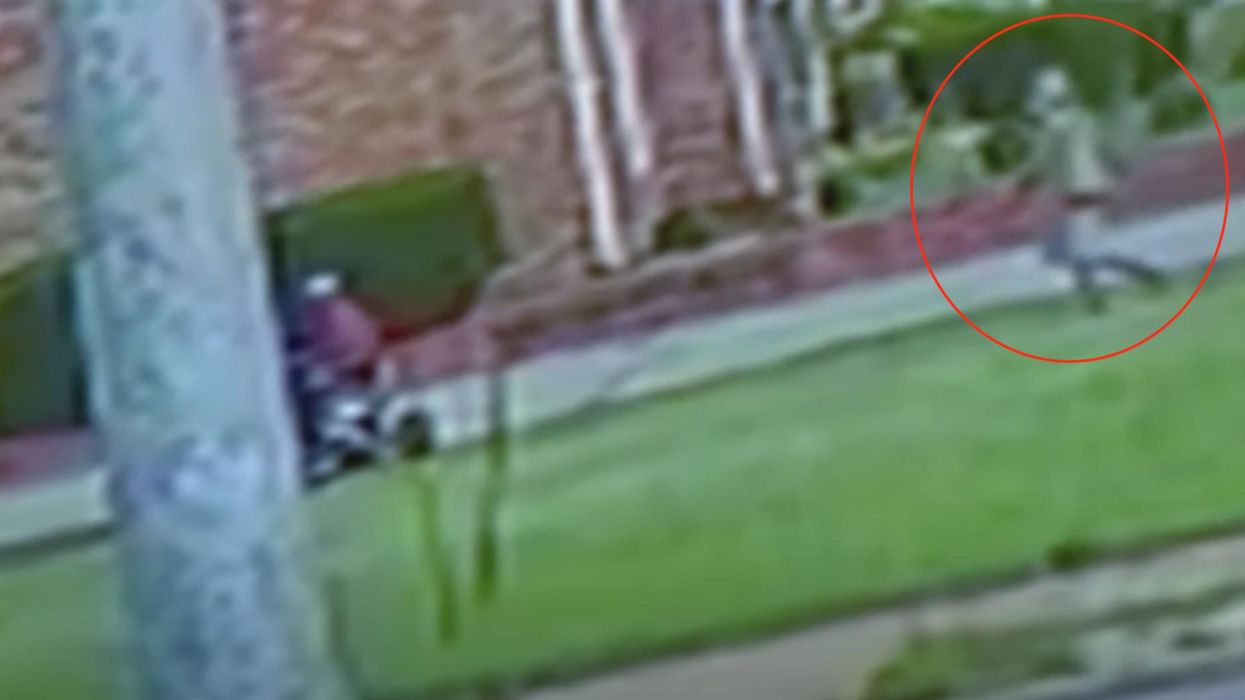 Security video captures armed thug stealing a go-kart from a grandma and 3 kids in broad daylight