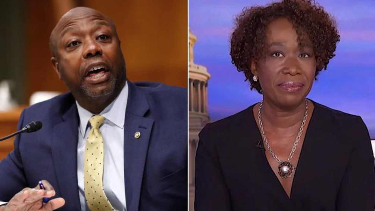 Sen. Tim Scott punches back at Joy Reid over 'vile' insult for opposing Ketanji Brown Jackson: 'The most ridiculous thing I've ever heard'