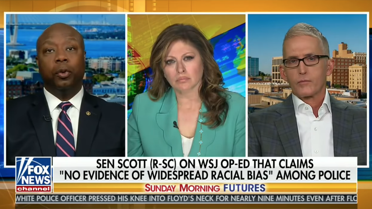 Sen. Tim Scott, Trey Gowdy rip idea of defunding the police: 'Single dumbest idea I have ever heard'