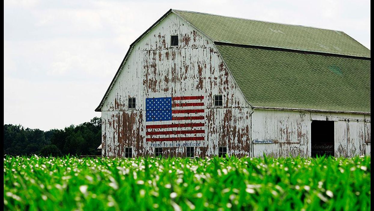 Sens. Cotton and Tuberville introduce bill to prevent Chinese communists from buying American land
