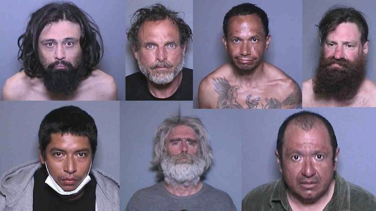 Seven high-risk sex offenders released early in California over coronavirus crisis