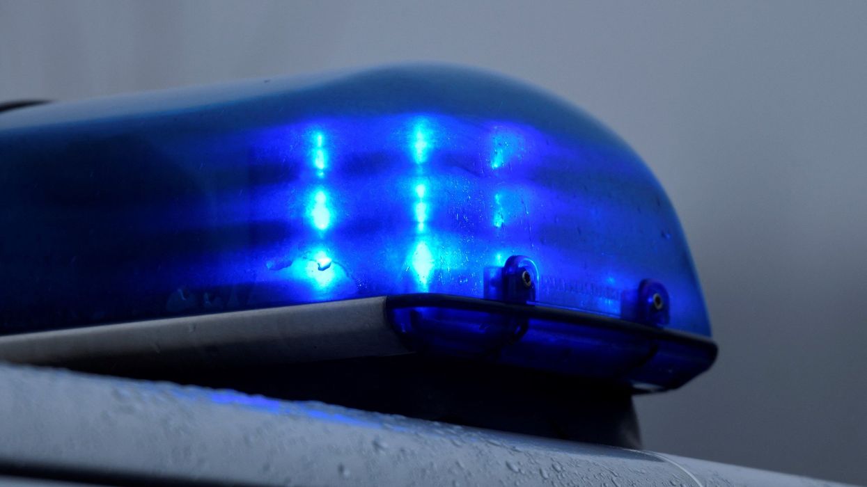 Severed pig's head left on family's doorstep; police investigating incident as potential hate crime