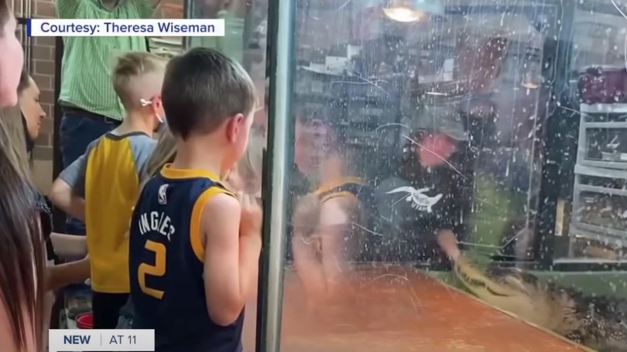 Shocking video captures bystanders saving animal trainer from alligator attack at child's birthday party