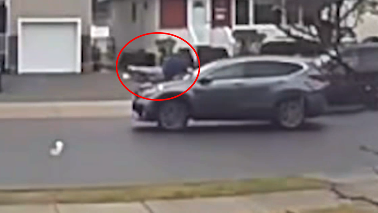 Shoeless man jumps on hood of moving car after thief steals his Rolex