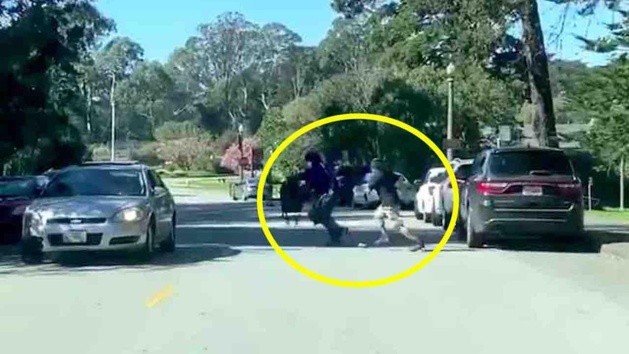 Smash-and-grab in broad daylight caught on video — but victim isn't about to let robber get away with it