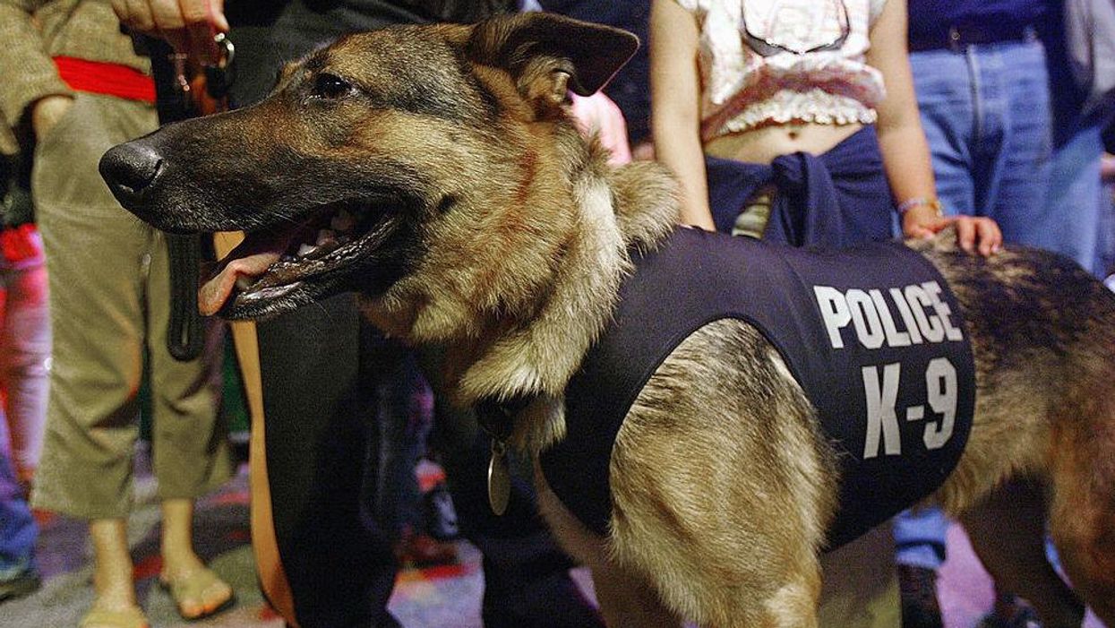 Social justice activist claims police K9's nickname was 'hurting people in the community'