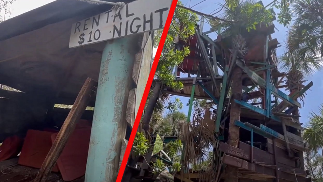 Squatters take over Florida 'Meth Island,' erect 4-story treehouse and shantytown