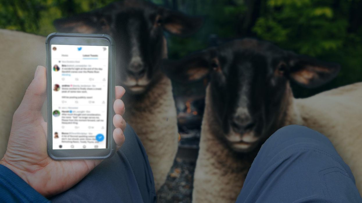 Squires: Democrats silenced the lambs so they can eat the sheep