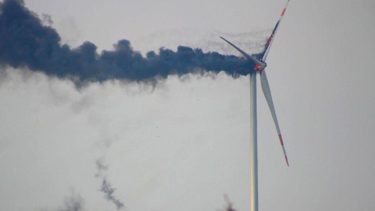 Study: Offshore wind farms hyped by Biden administration have 'substantial impact' on ecosystem, marine life — not in a good way