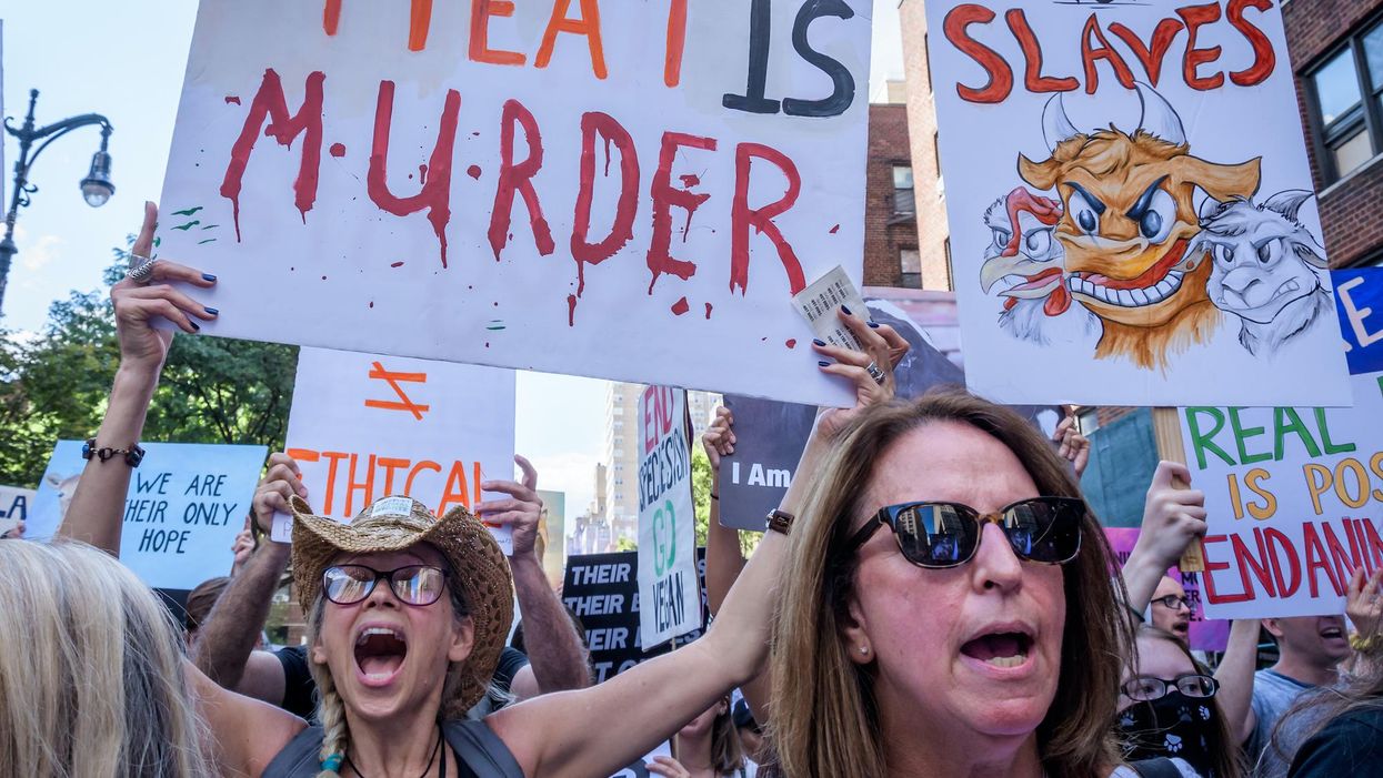 Study says children on a vegan diet may have stunted growth and other health problems
