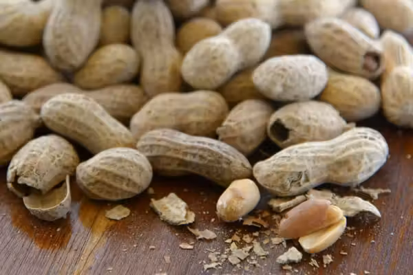 Study shows massive decline in peanut allergies after previous experts proven wrong