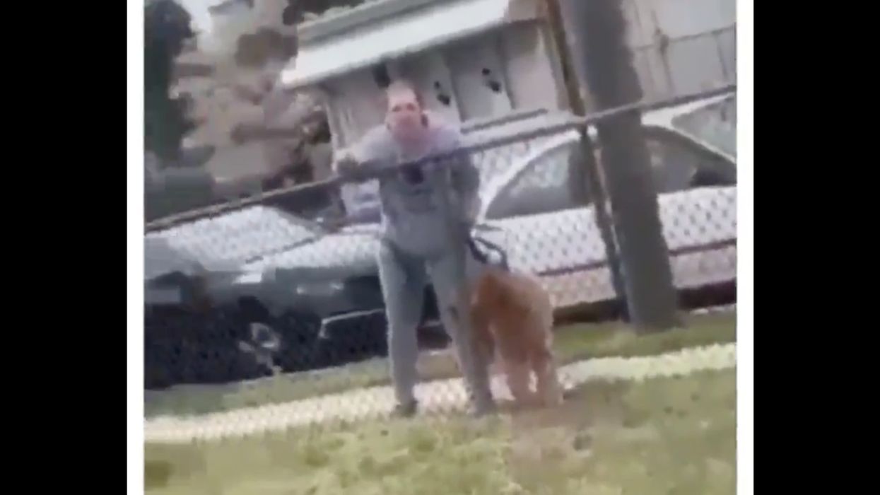 Teacher caught losing her mind on teens playing in a public park