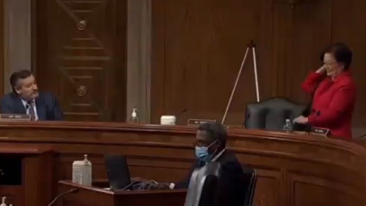 Ted Cruz challenges Democratic senator to condemn Antifa. She storms out of hearing instead.