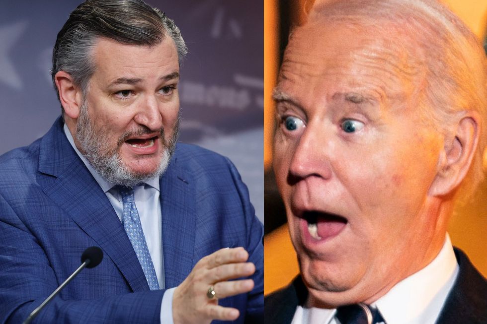 Ted Cruz says Biden accidentally undermined his own defense of autopen scandal