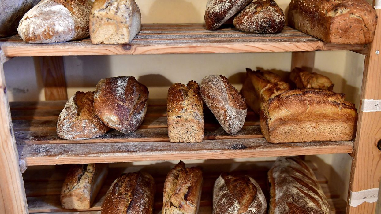 Thankful: How learning a new skill creates bread — and patience