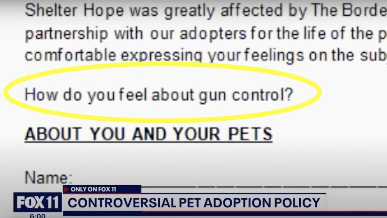 That animal shelter that won't allow pro-gun people to adopt pets? PETA is having none of it: 'What counts is that adopted animals are treated well'