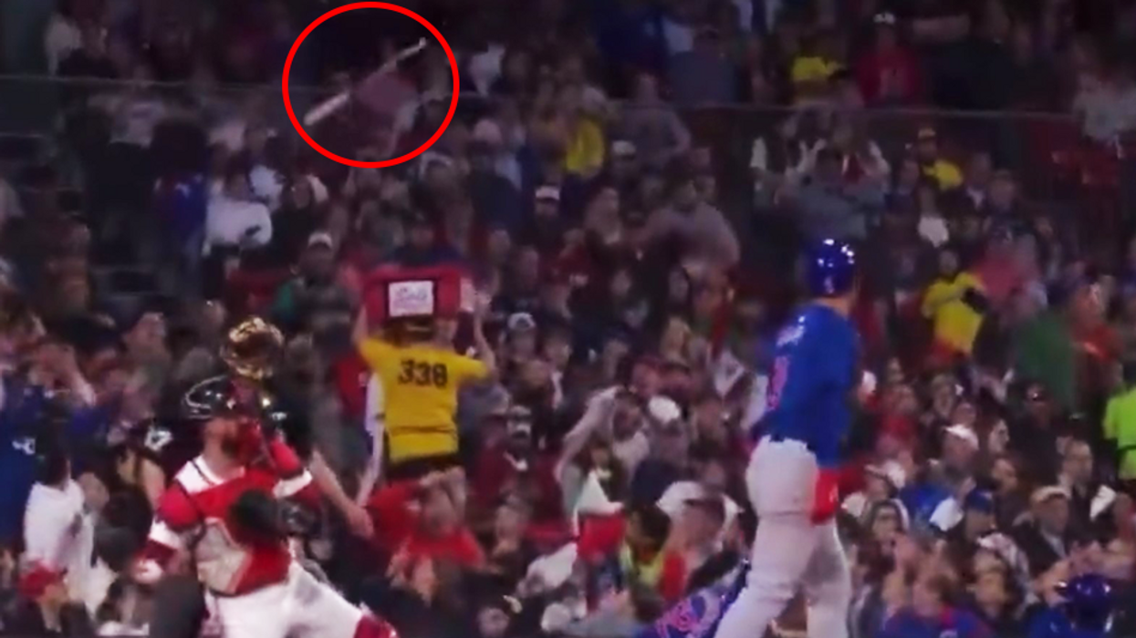 'That was scary': Flying bat injures fan at Fenway Park after Cubs catcher has wild strikeout swing
