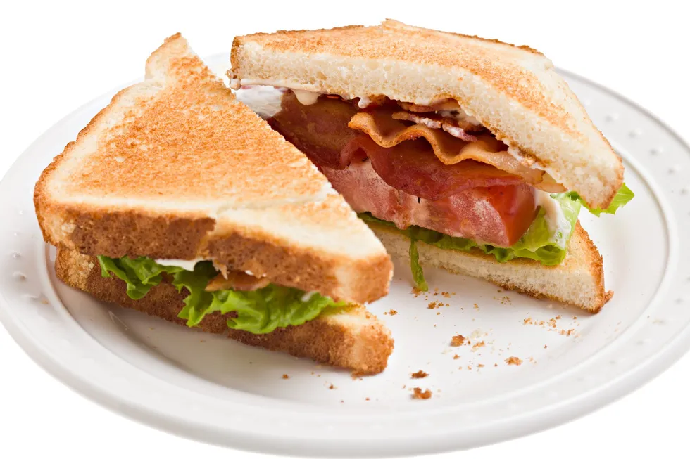 The BLT that broke my brain (and exposed a bigger problem)