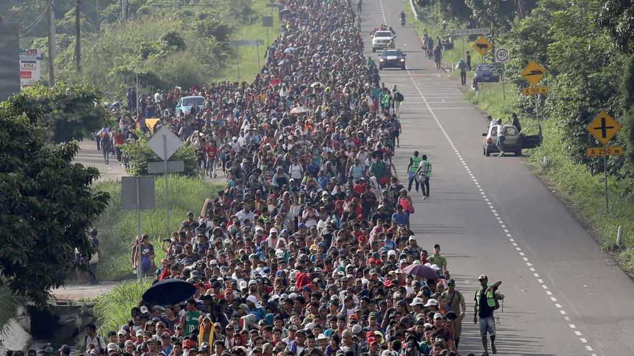 The DSA's plan for immigration is the worst one yet