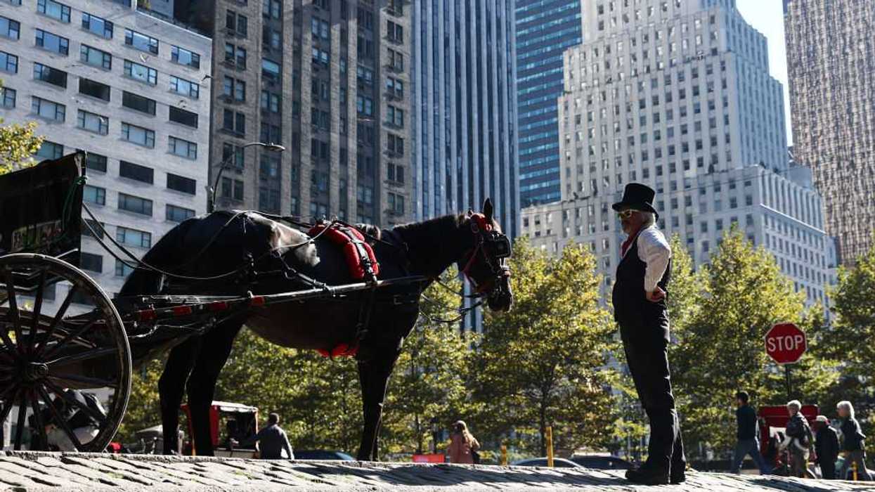 The final ride? NYC horse carriage drivers sound alarm as Mamdani moves to eliminate historic industry