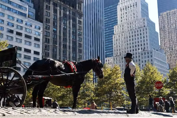 The final ride? NYC horse carriage drivers sound alarm as Mamdani moves to eliminate historic industry