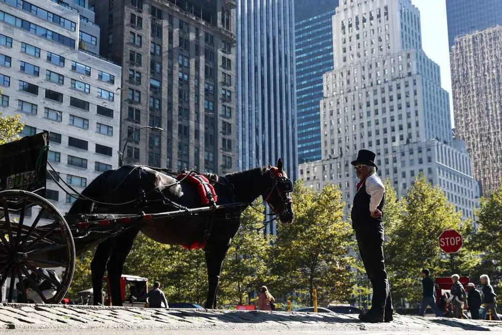 The final ride? NYC horse carriage drivers sound alarm as Mamdani moves to eliminate historic industry