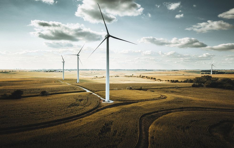 The hidden costs of going green: Part 2