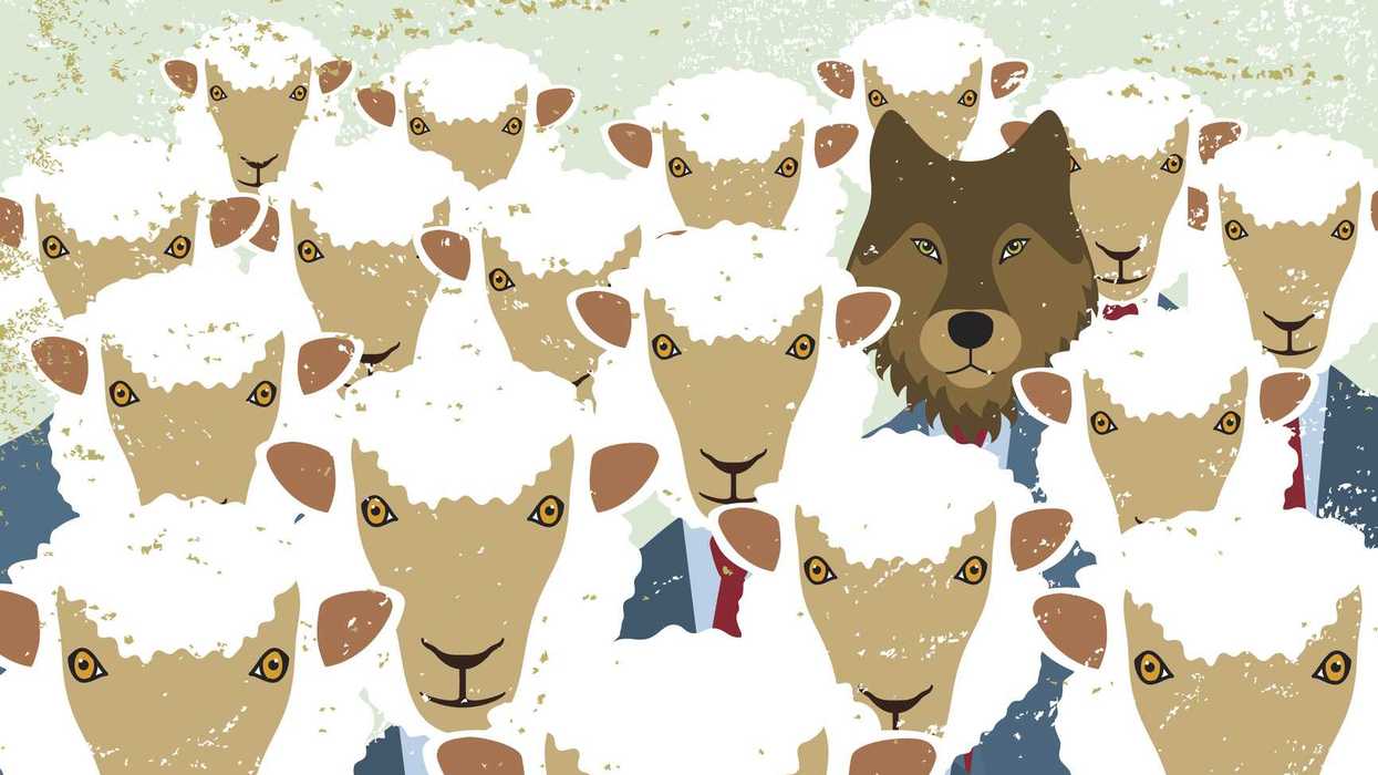 The media's Democratic cover-up is collapsing