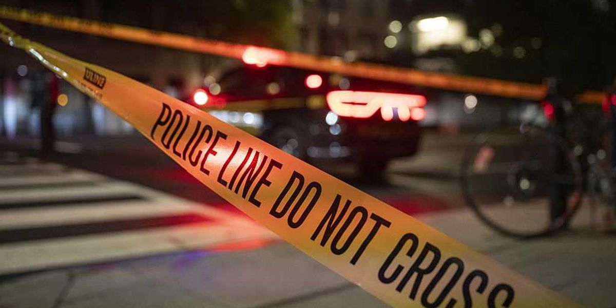 The pipeline from university radical to would-be assassin