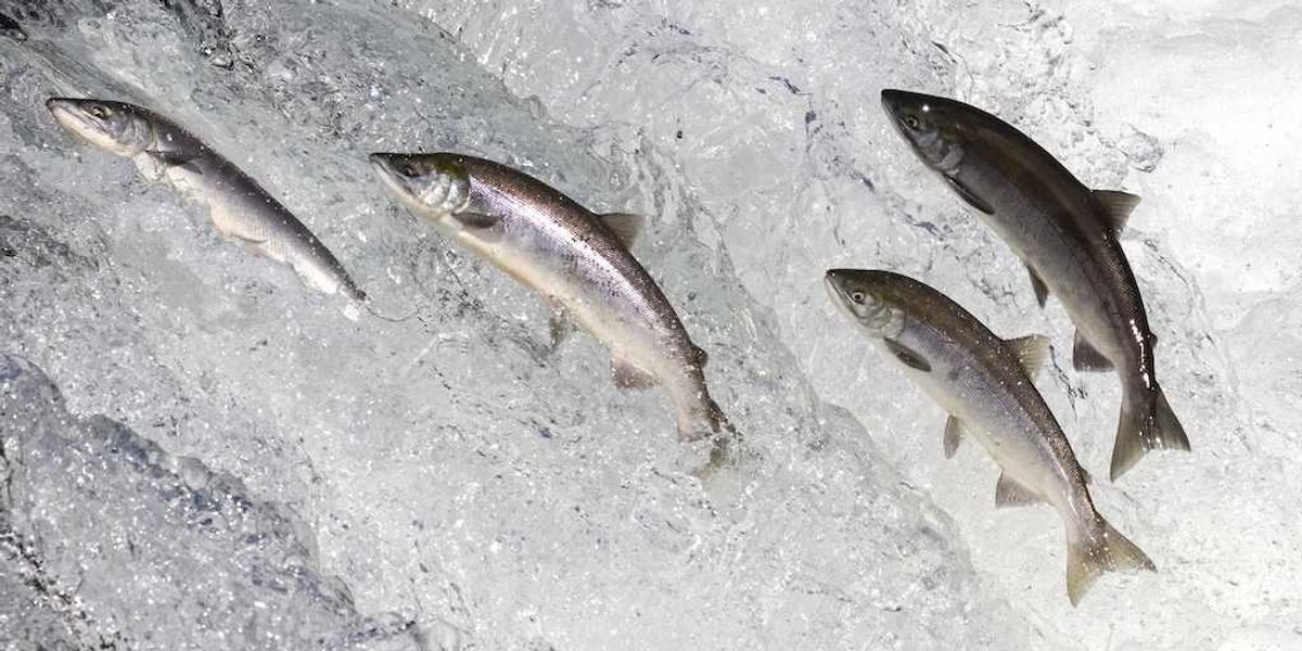 When the church drinks downstream, faith runs dry When the church drinks downstream, faith runs dry