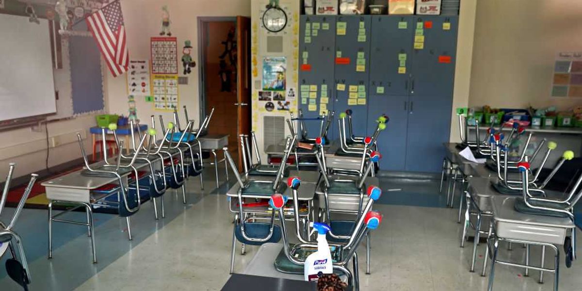 The radical nonprofit that is destroying state education 2 The New Atlantis