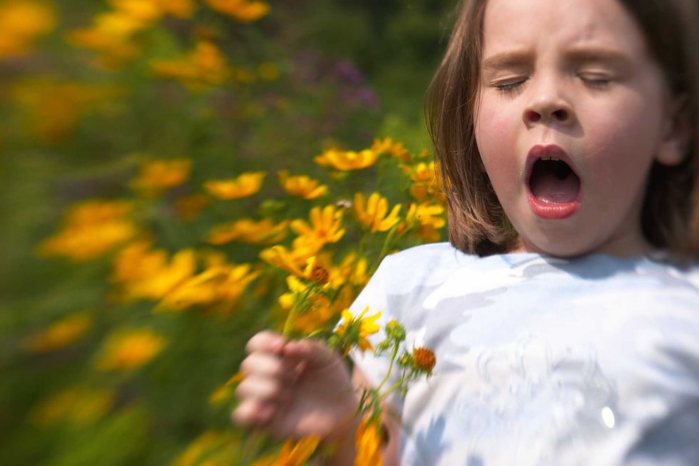 The top 5 apps to beat your seasonal allergies before they beat you