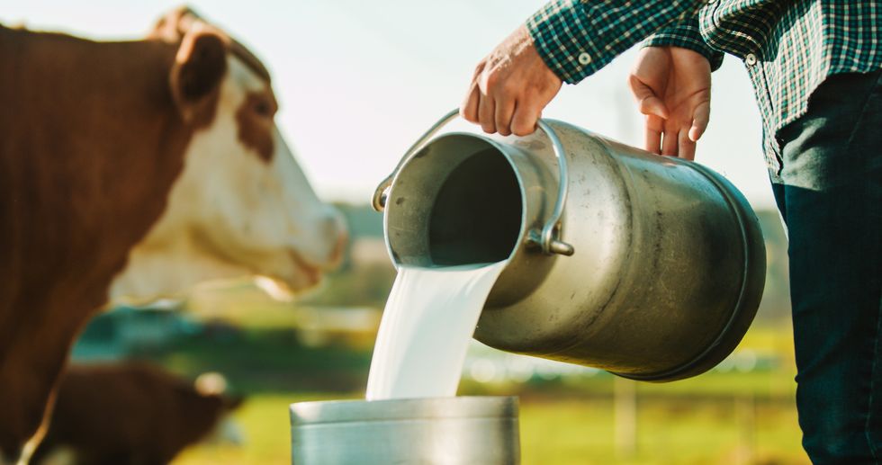 Blaze News investigates: The truth about raw milk the government doesn&apos;t want you to know: &apos;Close to a perfect food&apos;