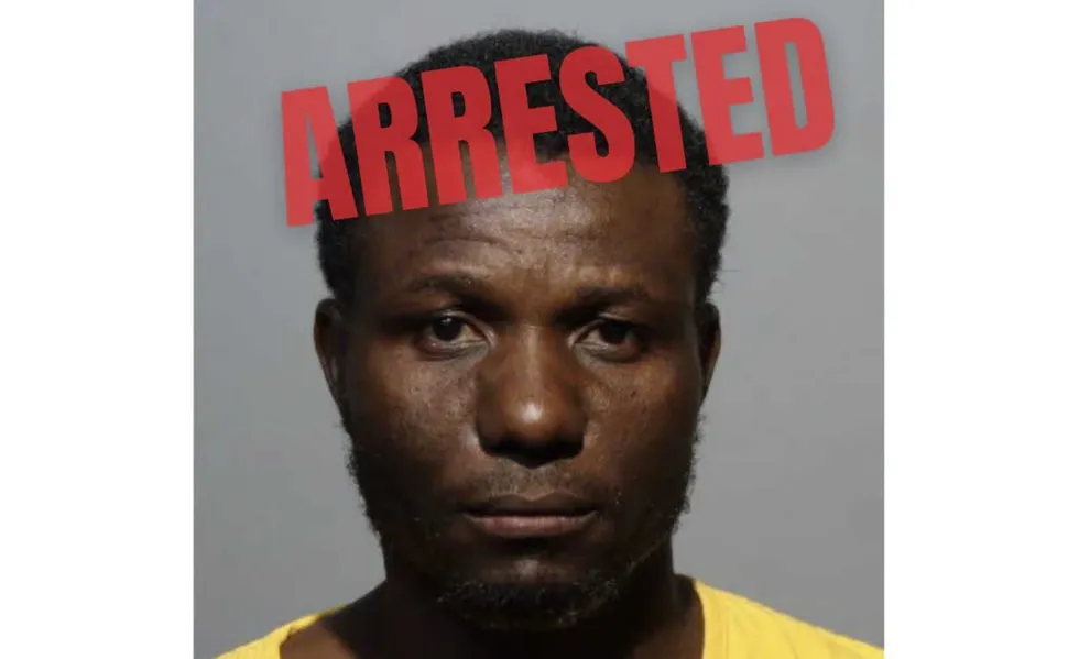 'The video is difficult to watch': Florida HVAC worker allegedly caught violently abusing homeowner's dog while on the job