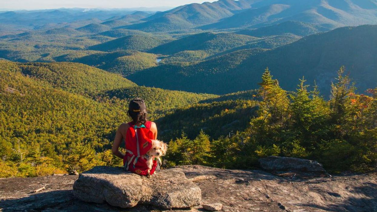 'There are going to be lawsuits': Upstate New Yorkers react to gun bans in bear country