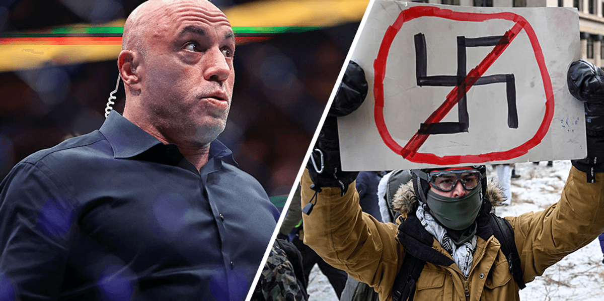 'This isn't organic': Joe Rogan says Minnesota's anti-ICE protests are 'coordinated' to induce chaos