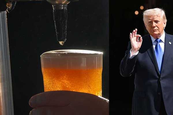 'This s**t shouldn't happen': Trump-hating brewer weeps after apparently doxxing federal agent