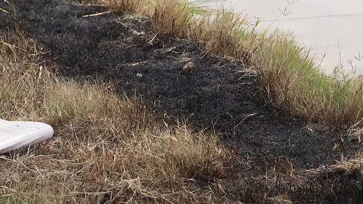 Three 'heavily dismembered' bodies found in burning dumpster in Texas, including a female and a child