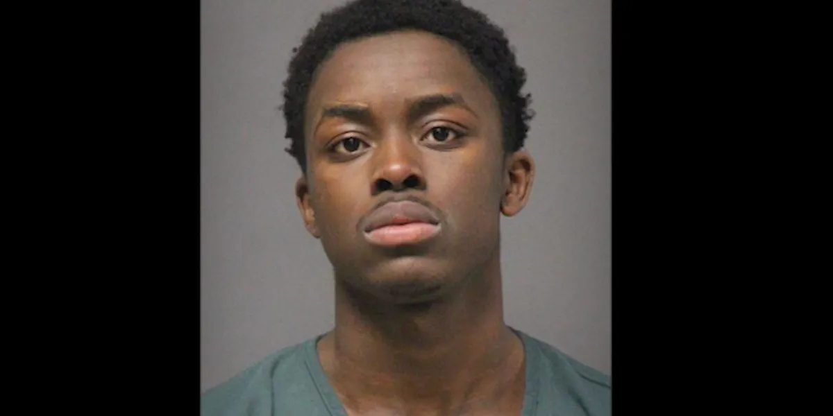 Thug attacks mother walking her toddler in stroller, cops say; 10 days later — on Thanksgiving — he's accused of even worse