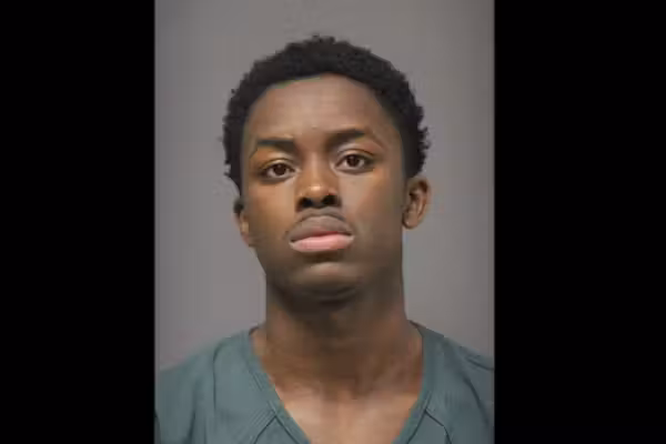 Thug attacks mother walking her toddler in stroller, cops say; 10 days later — on Thanksgiving — he's accused of even worse