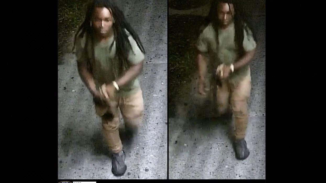 Thug pushes woman to ground, climbs on top of her, begins choking her, tries to expose his genitals — then pair of Good Samaritans come to the rescue