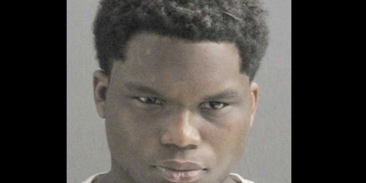 Thug who brutally raped 94-year-old in broad daylight had just been released after other rape charge was dropped, police say