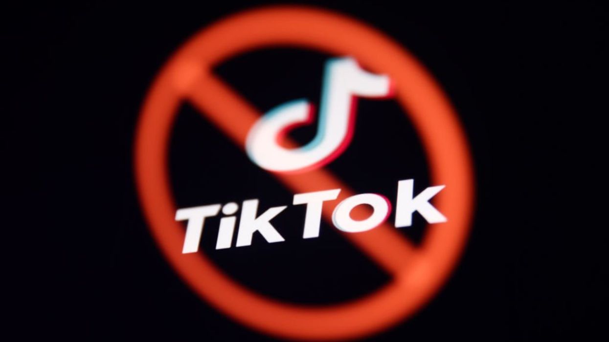 TikTok trouble: Why a ban could have nasty consequences for freedom