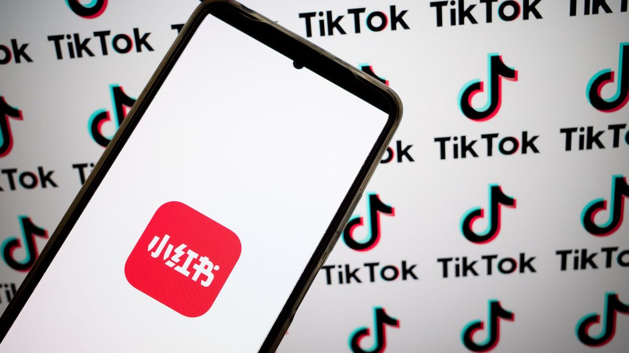 TikTok users download another Chinese app to mock spying concerns before ban: 'We're here to spite our government'