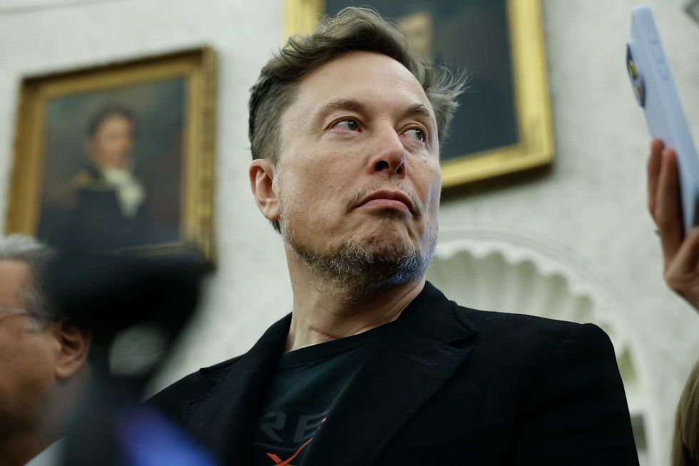 'Time to sue this liar': Elon Musk bristles at Democrat's accusations of DOGE child deaths