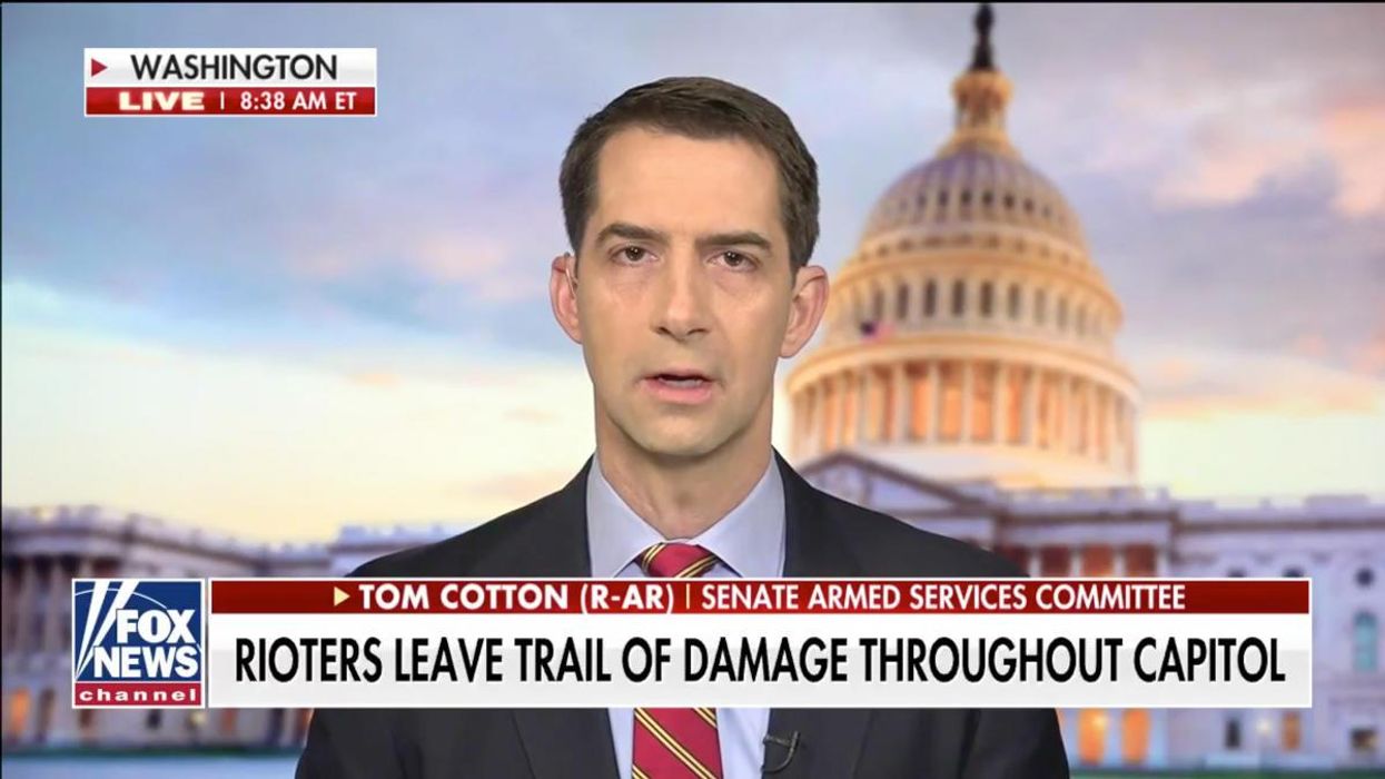 Tom Cotton condemns mob siege of Capitol: 'It shouldn't matter what signs they carry'