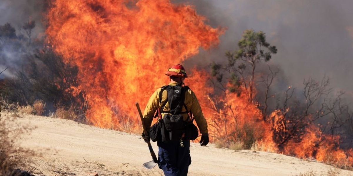 ‘Total ambush’: Gunman attacks Idaho firefighters responding to wildfire (UPDATE: Suspect reportedly identified) ‘Total ambush’: Gunman attacks Idaho firefighters responding to wildfire (UPDATE: Suspect reportedly identified)